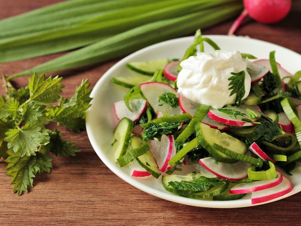 Летний салат из свежих овощей и крапивы: легкий и быстрый рецепт