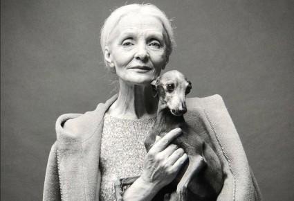 13 ��������, ������� ����� �������� �����