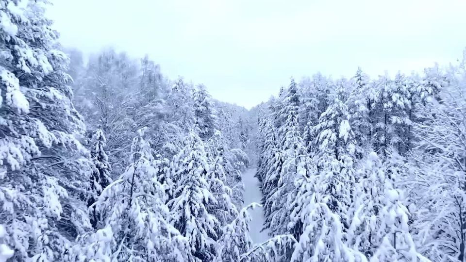 Доброе утро!. Погода в республике сегодня, 20 января