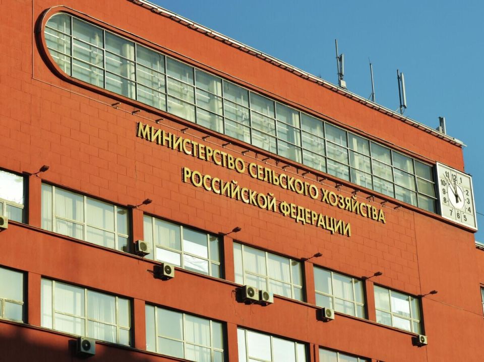 Рынок картофеля под контролем