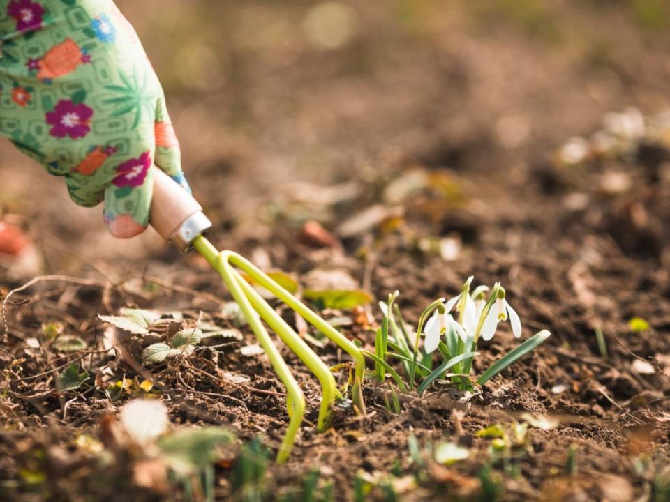 Переработка быта: как использовать бытовые отходы вместо контейнеров