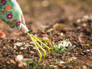 ����������� ����: ��� ������������ ������� ������ ������ �����������