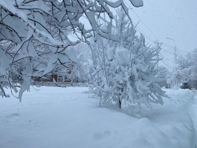 ������ � ������� �� 20 ������: