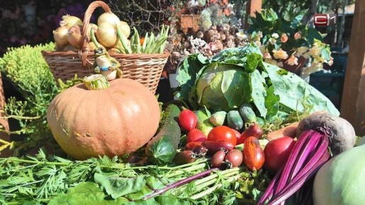 ��� ��������� �������� � ���: ������ �� ���������