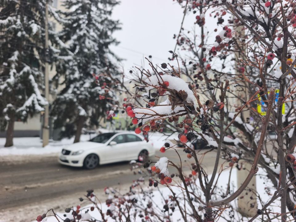 21 января в Адыгее облачно