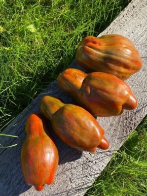 ����� ������ �����������: ������� ������� ������� � ������������� �����