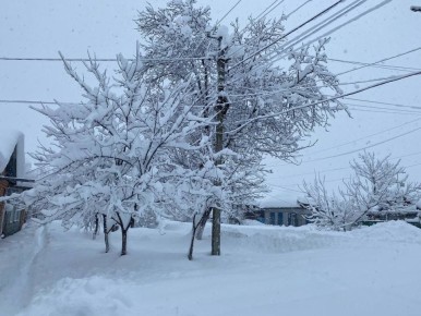 ������ � ������� �� 21 ������: