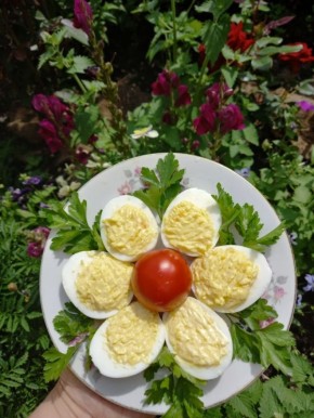 Фаршированные яйца: идеальная закуска для дачного пикника