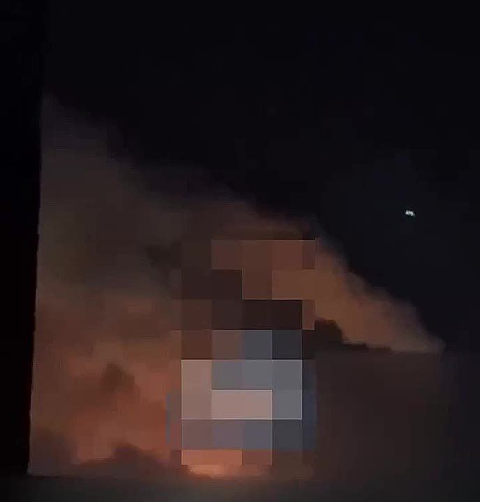 WarGonzo: ��� �������� ������� ��� ����� �� �������� ��������� � ������������� ����