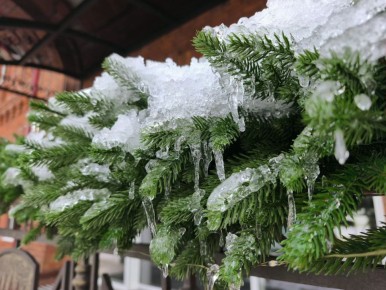 23 ������ � ������ �������� �����