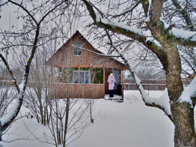 Декабрь в саду: зима не время для отдыха