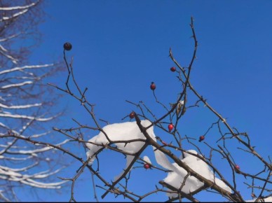 24 ������ � ������ �������� ���� � ������