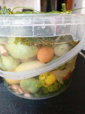 �������� ��������: ��������� ������� ������ ��� ��������