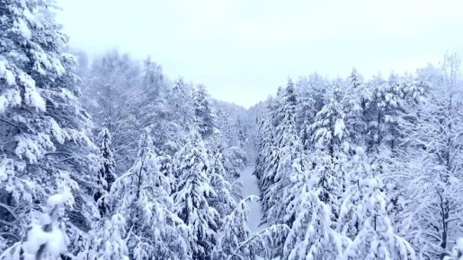 ������ ����!. ������ � ���������� �������, 24 ������