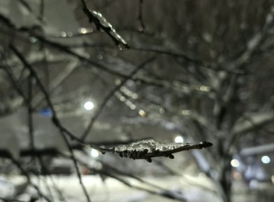 25 ������ � ������ ��������, ������� ���� � �����