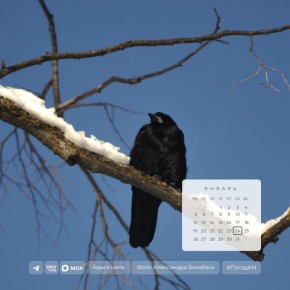 ������ ����!. 24 ������ � ������ ��������� ���� � ������