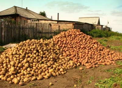 ��� �������� �������� ������ ���������: ����������� ���������