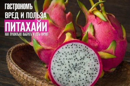 ��������: ��� �������, ���� � ������ � �� ������