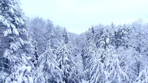 ������ ����!. ������ � ���������� �������, 27 ������