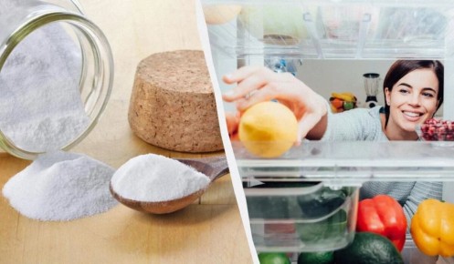 Почему стакан соды в холодильнике упрощает жизнь и помогает держать аромат