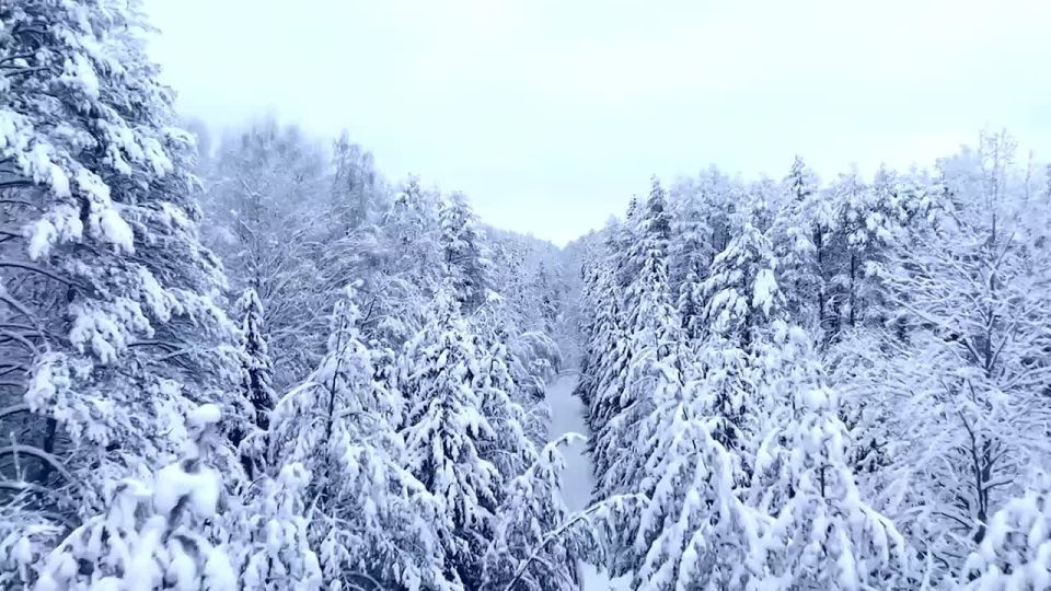 ������ ����!. ������ � ���������� �������, 28 ������