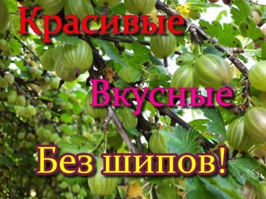 ��������� ��������: ����� ��������� ��� ���������