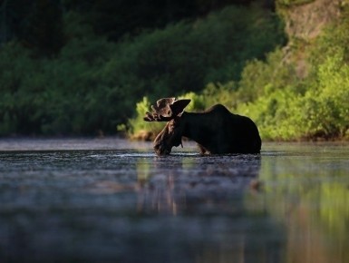 �������� �� ����: ��� ����� ������� ����� �� ����� � ��� ��� �������� � �������������