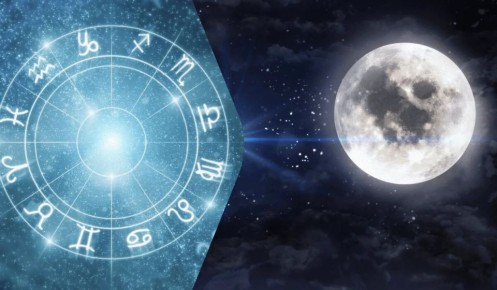 ���������� �������� ����� ���� ������ �������