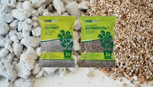 Вермикулит и перлит: выбираем правильно для каждого растения