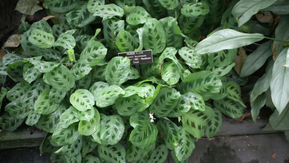 �������: ���������� � ������ � ����� ��������