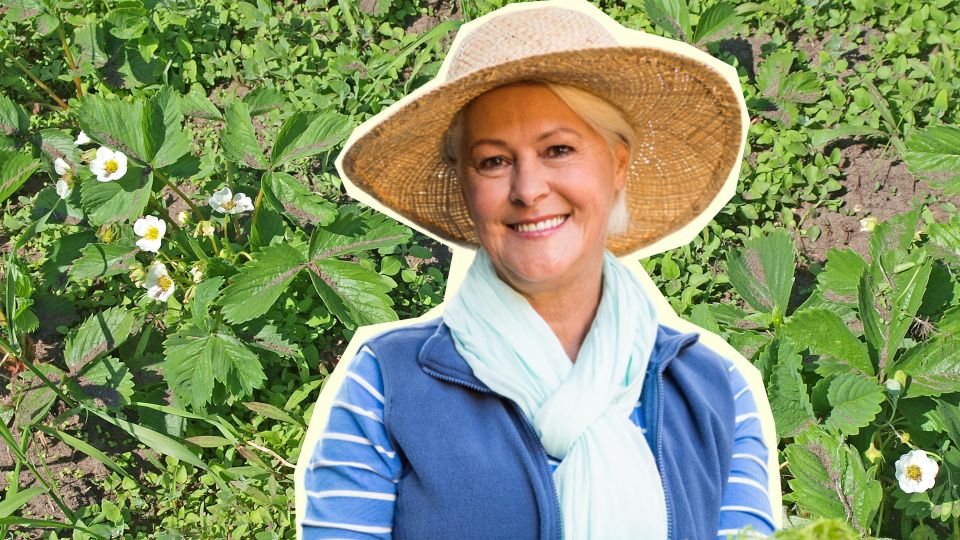 �������� ��� ��� ����� ��������: � �������� ����� ����� ������ �� ��� ����