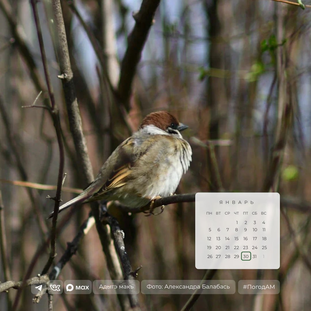 Доброе утро!. 30 января в Адыгее ожидается ясная погода