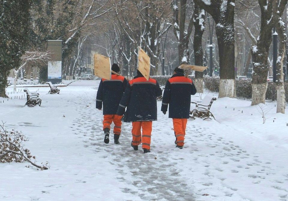 ������ ������: ��� ����������� �������� ������ ������� ����� �� �����