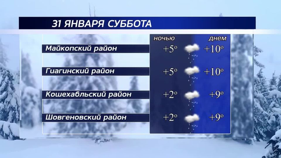 ������ ����!. ������ � ���������� �������, 31 ������