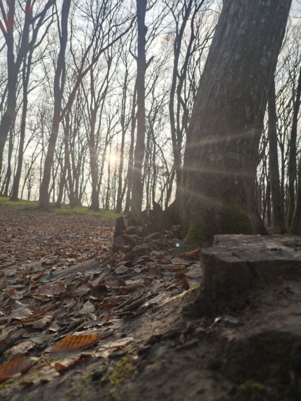 ������ � ������� �� 31 ������: