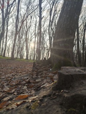 Погода в Майкопе на 31 января: