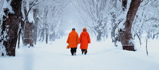 Как получить пенсионные накопления в 2026 году