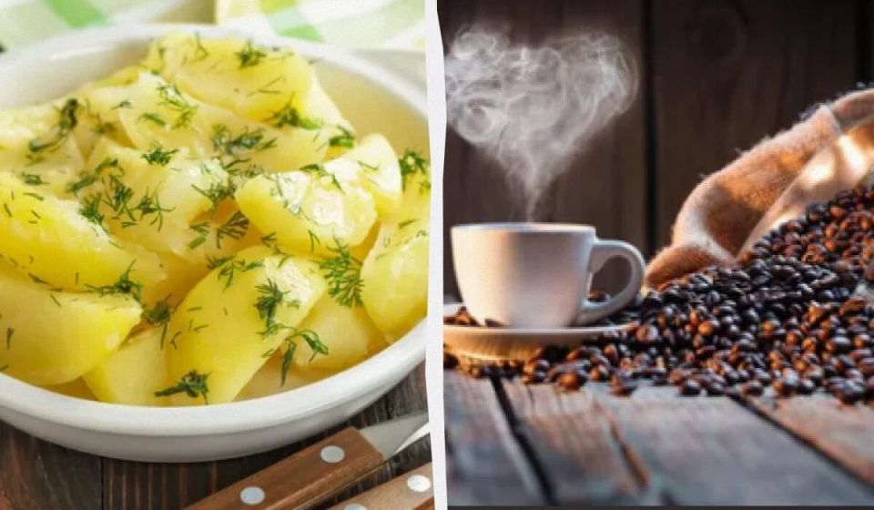 ��������, ������� ����� ������� � ������: ������ ���������