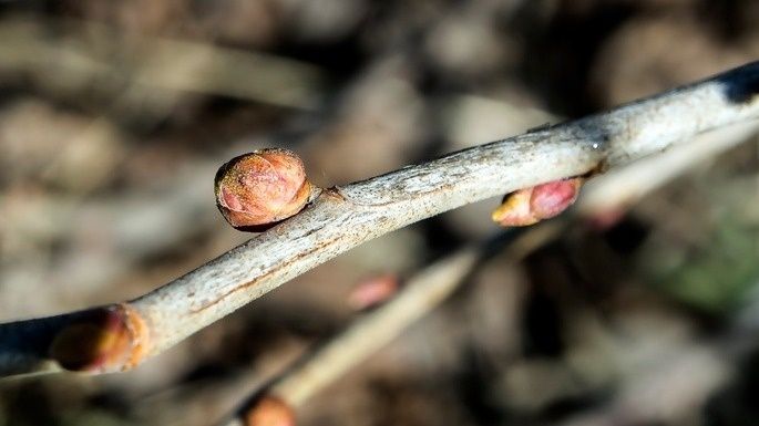 ��� ������� ���� ������� ��������� �� ���������� � ����������� ������