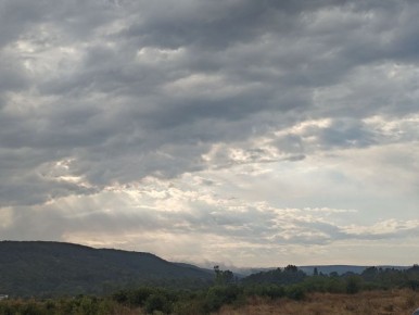 Погода в Майкопе на 1 февраля: