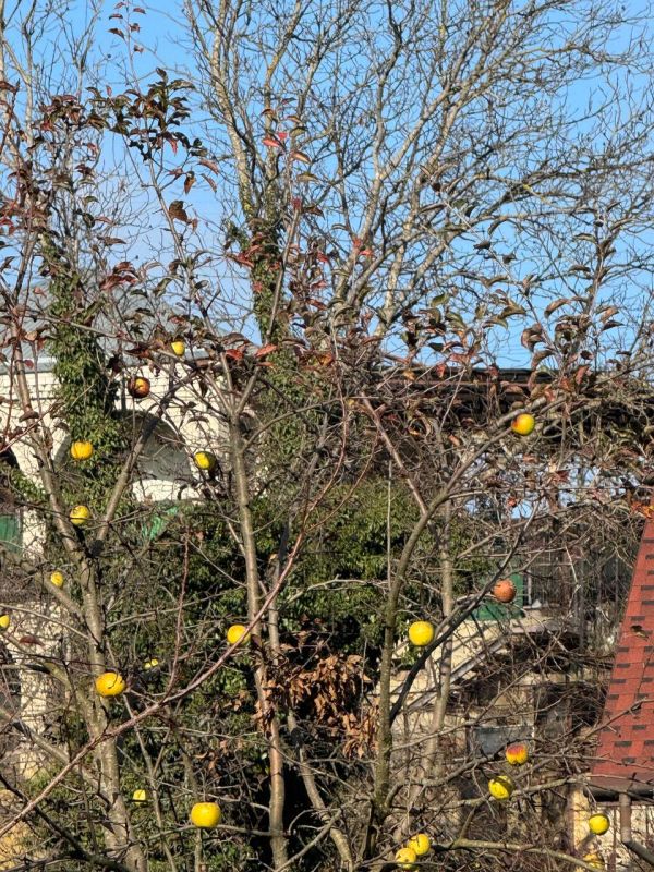 � ������� �������� ������ ����������� ����!