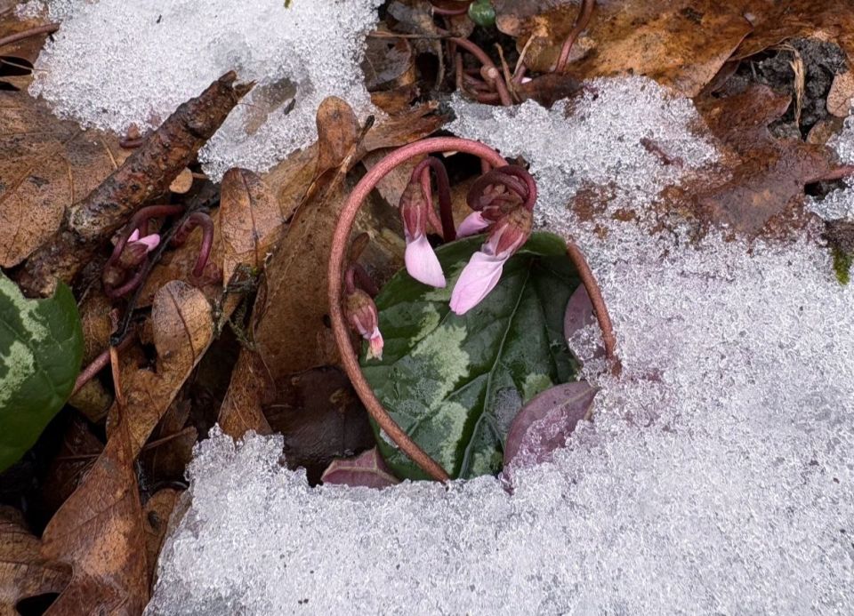 2 ������� � ������ �������� �����