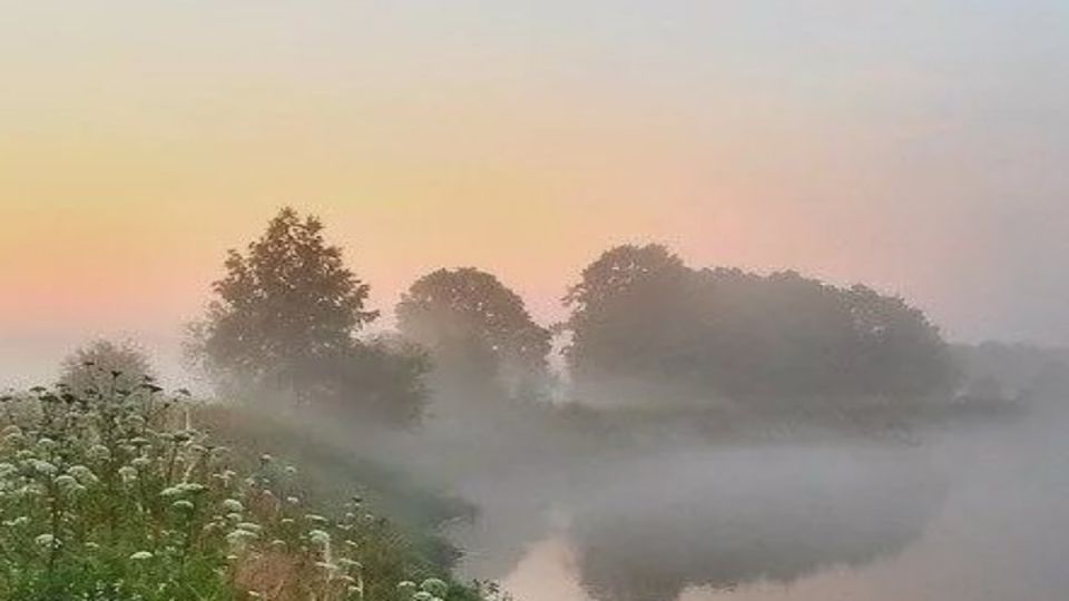 ����: �������� � �������, ��������� � ������� ����