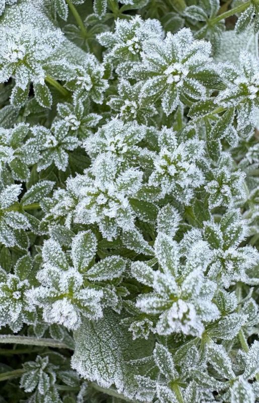 3 ������� � ������ ��������, ������� ����