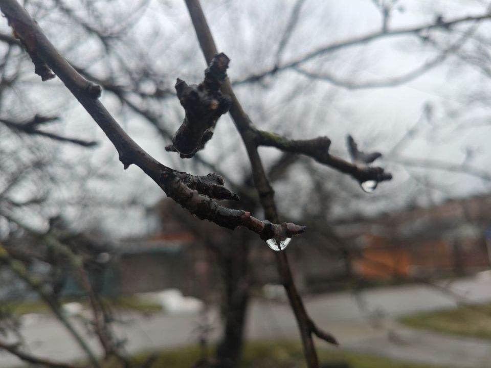 ������ � ������� �� 2 �������: