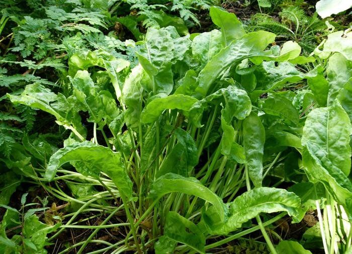 ��� ������� ��������� ������� ��� ������ �� �������