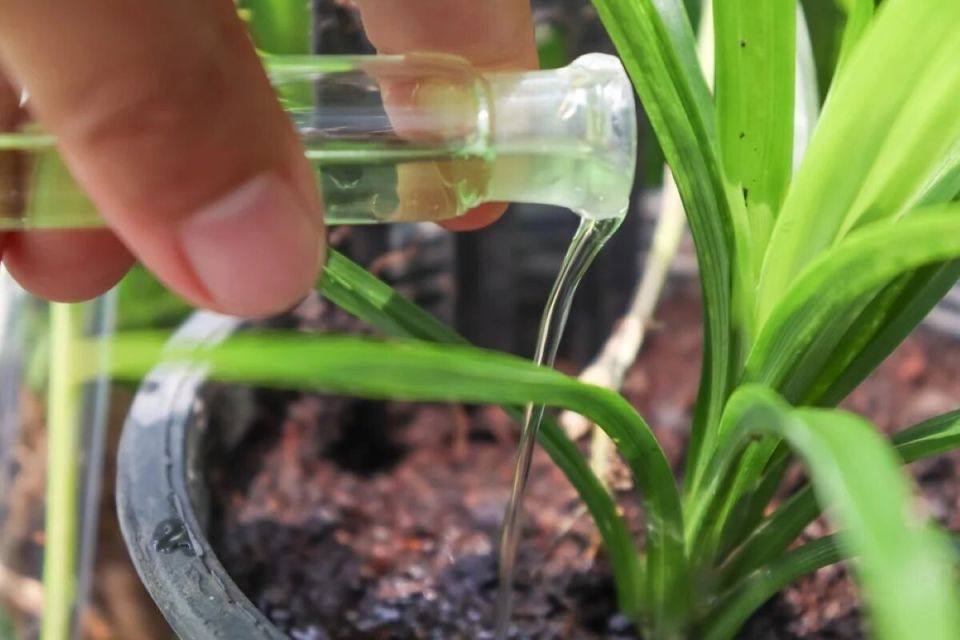 ���������� �������� �������� ������� ��� ����: 5 ����������� ����������