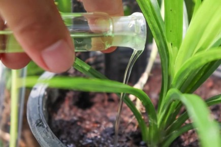 ���������� �������� �������� ������� ��� ����: 5 ����������� ����������