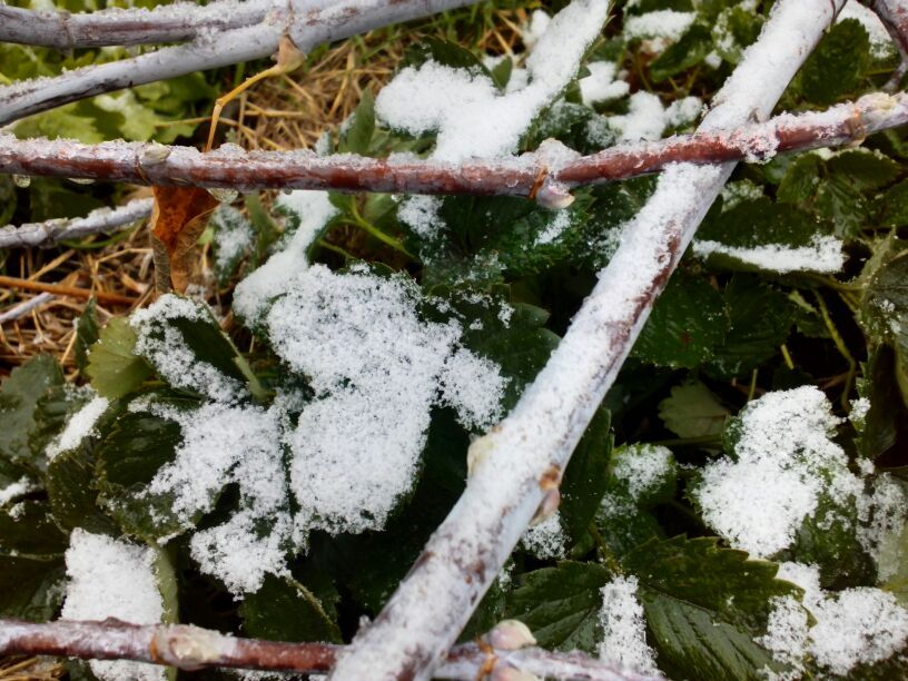 ��� ��������� ������ �������� �� ����: ������� �������� �����������