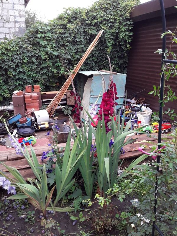 ��� ������� ��������� ����� ��� �����������: ����, ������ � �������